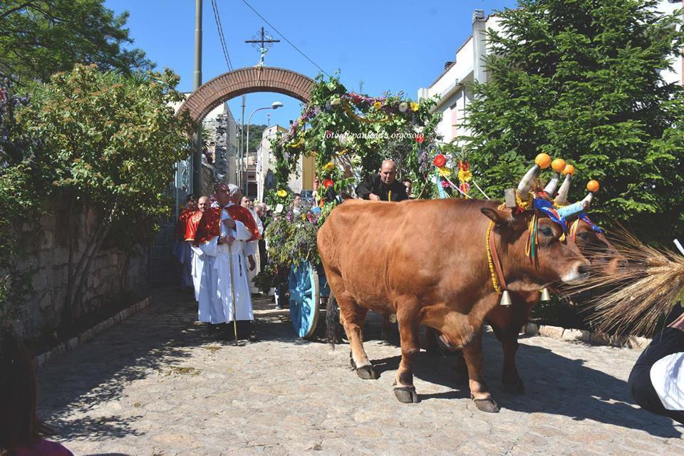 Orgosolo B&B Sardegna Экстерьер фото